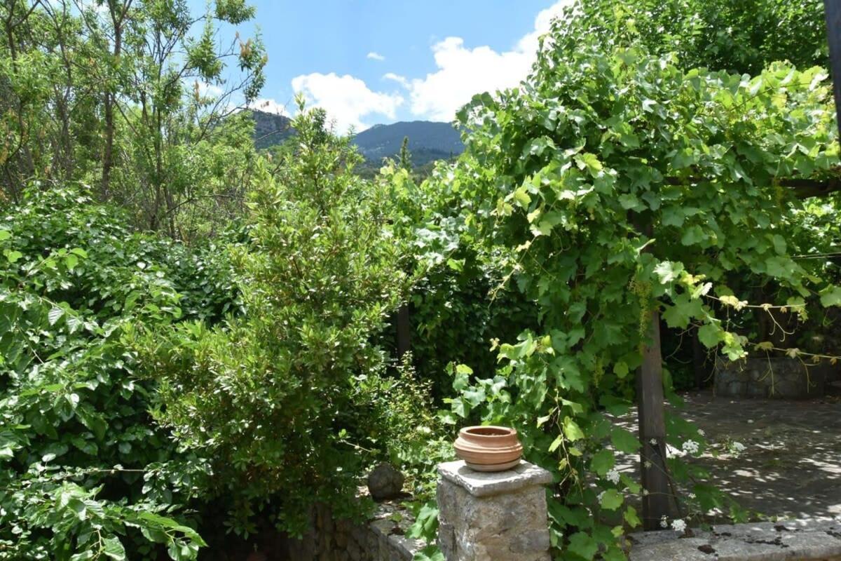 Mariolata Vintage Stone Villa - 4 Season Escape מראה חיצוני תמונה